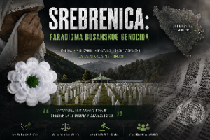 Srebrenica 1